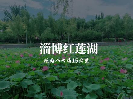 其实淄博桓台也有很多景点,这个暑假红莲湖是我去的次数最多的地方,淄博又一个免门票景区。。#淄博网红景点推荐 #最治愈的便是这世间的山水 #无人机航拍 #旅行推荐官 #网红景点打卡