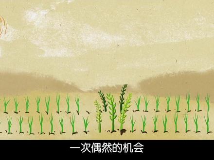 “屎”为什么要被叫作粑粑?