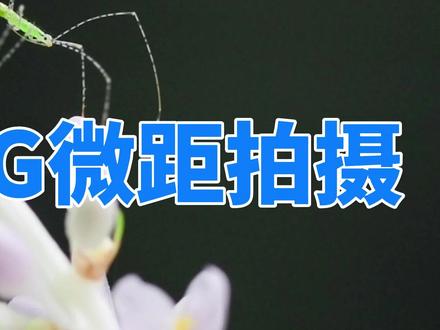 #索尼70200G二代#微距 新一代索尼小三元的70200G2支持全焦段的微距拍摄功能 不知道大家是否了解呢?快来跟我一起看看吧!