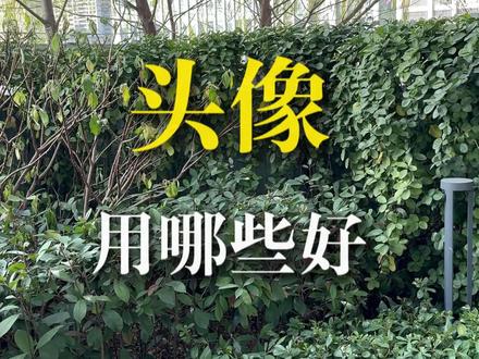头像用吗些好#智慧人生 #国学文化 #分享知识 #头像