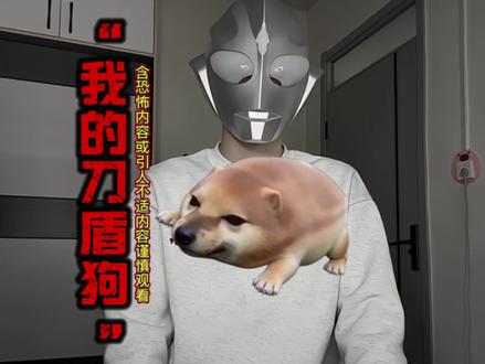 “我的刀盾狗”这个爆火的表情包背后的真相 #白天刷不到晚上逃不掉系列 #恐怖 #恐怖故事 #灵异故事 #睡前故事 民间故事奇闻异事灵异事件都市怪谈电影解说