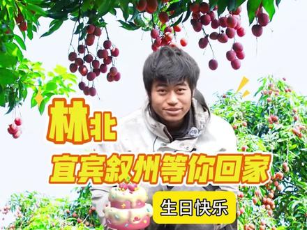 林北,生日快乐!等你拿到好成绩回家!
#宜宾 #叙州区 #荒野林北 #荒野求生 #老六荒野