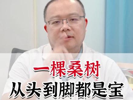 一棵桑树,从头到脚都是宝#桑树 #桑叶 #桑椹 #桑白皮