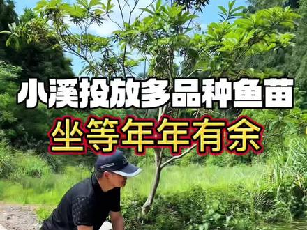 家门口原生态小溪水质超好,常年活水不断~
今天投放了好几个品种鱼苗,山里活水自然散养,不用喂饲料。慢慢修整家园、修坝蓄水、小溪养鱼,过简单安逸的乡村日子。静待鱼儿慢慢长大,到时邀请家人们来乡下,我做正宗溪水鱼招待大家#农村田园生活 #回乡生活 #小溪原生态养鱼 #乡村烟火气 #老家日常