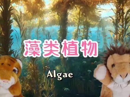 可爱绿邀你掌握藻类植物的英语知识!#可爱绿植物英语 #藻类 #植物百科 #每日英语 #英语教学 #少儿英语师训
