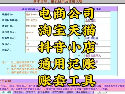 电商公司淘宝天猫抖音小店做账通用账套#电商会计账务处理