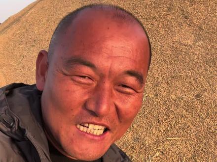 #新疆大米#胚芽米#糙米 沙漠也能种水稻!