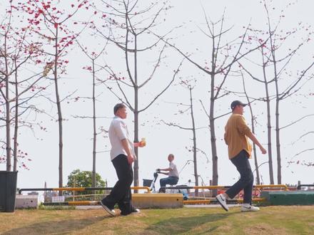 顺德本地人平时散步都去哪里?其中一个地方就叫乌洲水闸 #旅游攻略 #顺德旅游攻略 #下午茶 #感受春的气息 #享受大自然