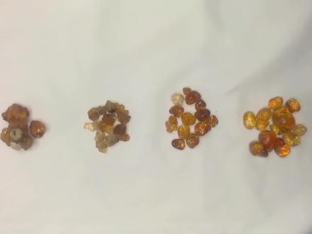 揭秘系列——桃胶:桃胶优劣鉴别手册,你用的桃胶里有伪品吗?#中药 #中药鉴别 #桃胶