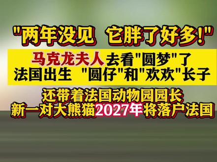 #法国总统夫人去看大熊猫 ”两年没见 它胖了好多“新一对#大熊猫2027年将落户法国