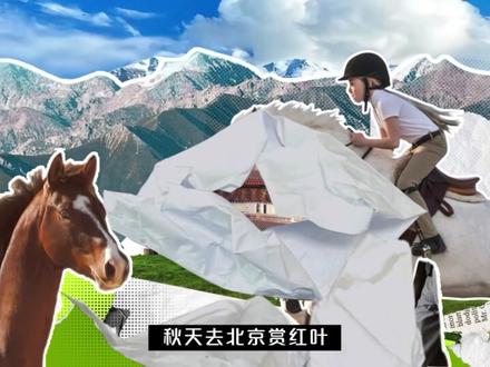 南航明珠会员体系全新升级!攻略2--更自主更灵活的级别评定,新增优惠保级规则和超值的定级溢出权益,让会员延续级别变得更轻松。 #南航带飞暑你会玩