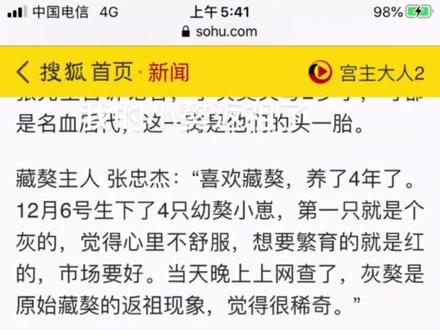 经过一夜的艰辛,顺利诞下八只宝宝。两灰一包金五红。这是返祖的节奏呀#小奶狗 #新生命 #小藏獒
