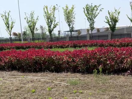 滁州科目二驾考中心完整场地,祝科目二待考学员考试顺利通过!#愿所有的美好和期待都能如约而至