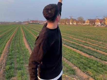 愿世间所有美好与你相伴#风筝 #放风筝 #春天放风筝