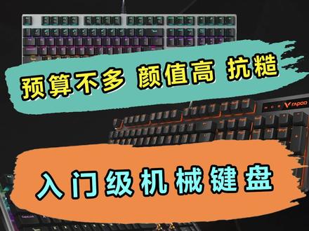学生党的第一套机械键盘,百元就合适,写论文也不错,用完你就知道下一个选什么轴#机械键盘 #游戏外设 #电脑