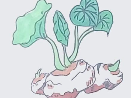 今天教大家画好吃的芋头#简笔画 #一起学画画