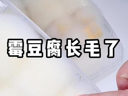 霉豆腐后续来了 #霉豆腐 #霉豆腐后续 #霉豆腐制作