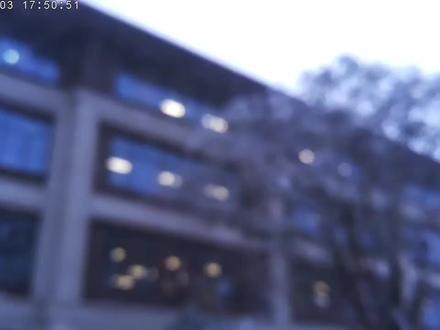 高三江南十校那一整天的大雪#雪 #安徽#江南十校联考 #养城中学