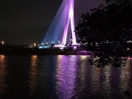 劳动节过后,佛山青年公园是个什么情况?小草被践踏的不成样子#吹晚风 #江边夜景