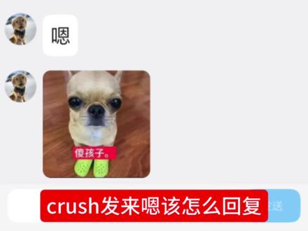 crush发来嗯该怎么回复