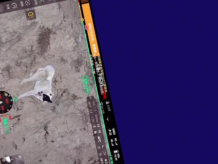 #西北刀客 昨晚刀客家因大娃杰克受伤二连就回去了。一连喜茶拿骚,槽妃灰太狼单拖,槽妃灰太狼无大碍,脑袋上破了点皮;二连300+大炮,实战家杜十娘上来就挂,光荣负伤,杰克、大娃也光荣负伤了,三只毛孩子腿部都被佩奇挑的好长一道口子,万幸都没有伤到要害,赵队先后为大娃杜十娘杰克三只毛孩子进行了缝针,三只毛孩子都是好宝宝!(杰克腿部受伤,爬不上坡,那么久都没人来接,看把杰克给气的都骂娘了)🥹#大娃#杰克#杜十娘#西北实战