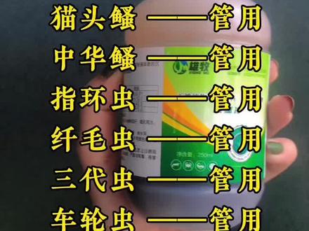 养了这么多年鱼,你不会还不知道这个驱虫产品吧?#水产养殖 #四大家鱼养殖 #鱼虾蟹养殖 #养鱼人