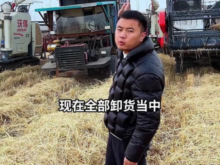 包地 花14万盘160亩水稻地,到底是亏是赚?#新农人计划2024 #记录真实生活 #三农 #秋收#我的乡村生活