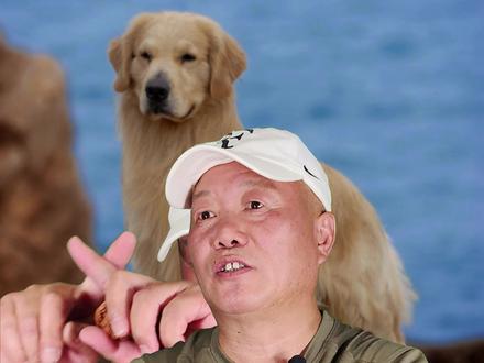 血统犬都是近亲繁殖的?别再信营销号和狗贩子的散言碎语了……去问问养了血统犬的同志们吧!
#纯种金毛 #血统金毛 #犬舍