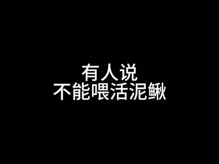 有人说观赏鱼不能喂活泥鳅吗?一个小实验告诉大家可不可以。#观赏鱼 #龙鱼 #虎鱼