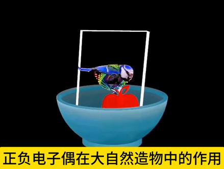 正负电子偶在大自然造物中的作用#量子力学