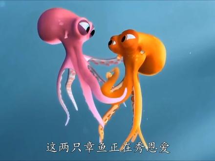 感人动画《章鱼的爱情》:两只相爱的章鱼,为了爱奋不顾身