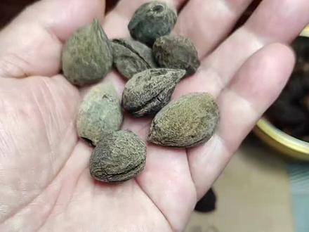 小朋友们,这才是真正的桃枭原皮。