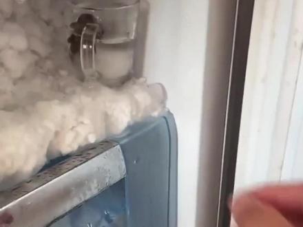 清道夫冻成冰块竟还能复活!@DOU+小助手 #涨知识 #百科 #科普一下