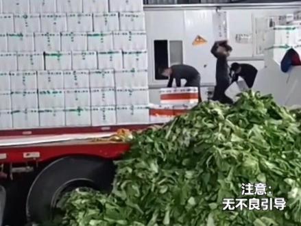 13米75板车重申不能运输散货或绿通!#货车司机 #13米75大板