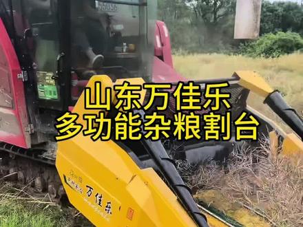 山东万佳乐杂粮割台,不丢籽粒收割效率高!#杂粮割台#油菜直收#收割高粱#玉米籽粒割台 #农业机械