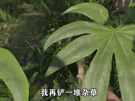 绿色地狱05:我在亚马逊发现了一个工厂,他们在生产违禁品 #绿色地狱