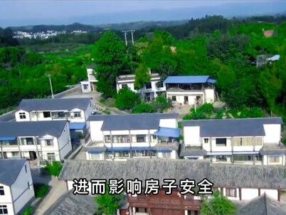 俗语说:“门前不栽竹,屋后不栽树”,它们有啥不祥之兆? #俗语 #栽树 #植物