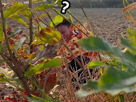 小航鬼鬼祟祟在这里干嘛呀#瓜子二手车#鞭炮#气球#搞笑