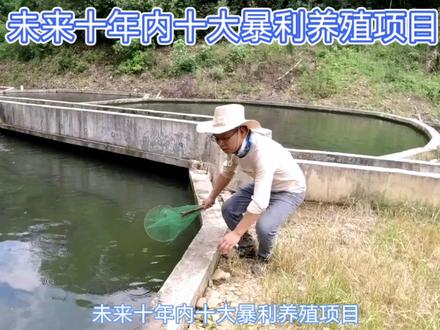 未来十年内,十大暴利养殖项目!想要创业的你一定不能错过!#特种养殖 #三农养殖 #农村创业 #农村创业养殖 #养殖创业 #黄鳝养殖 #农业养殖 #养殖户 #养殖业 #养殖致富