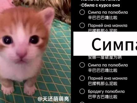 #辛巴巴巴噜比啦 #翻唱#御姐音#小猫 来一段快嘴嗯对