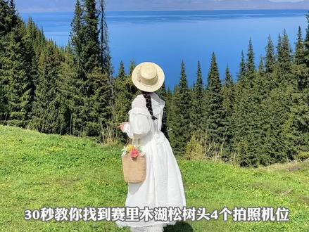 30秒教你找到赛里木湖这个花海机位 #赛里木湖 #赛里木湖有多美 #松树头 #赛里木湖拍照攻略 #赛里木湖有多美