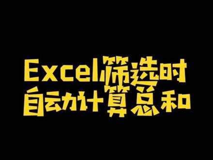 Excel筛选时自动计算总和#excel #excel技巧