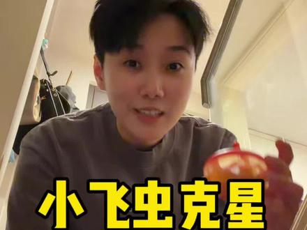 家里有小飞虫的你就放一个它! #小飞虫怎么消灭 #小飞虫怎么办