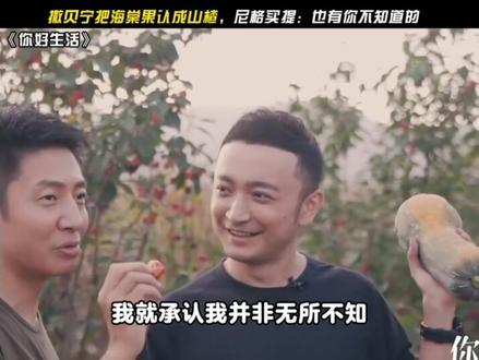 撒贝宁把海棠果认成山楂,尼格买提:也有你不知道的