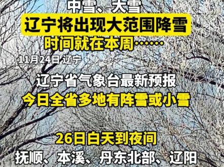 中雪、大雪,辽宁将出现大范围降雪,时间就在本周……