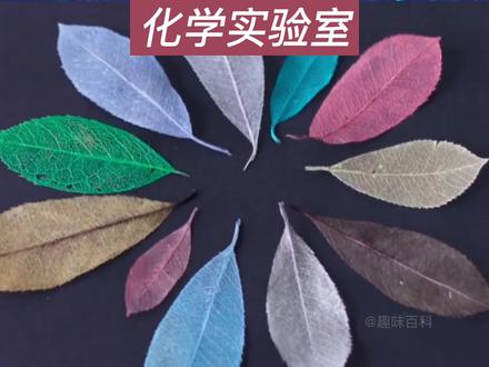 #叶脉书签制作过程 #星河知识计划 #璀璨科学星 @抖音青少年 #家庭科学小实验