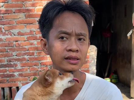 每天分享中华田园犬#黄狗白面 #中华田园犬