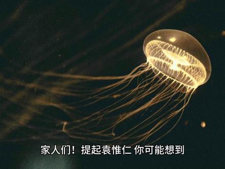 爷青回!袁惟仁写给那英、王菲的 10 首歌,每首都刻进DNA 原来这些神曲都出自他手!袁惟仁 10 首经典,藏着华语乐坛的黄金时代,袁惟仁封神的 10 首歌!每首背后都有大瓜,听完直接泪崩.#袁惟仁 #那英 #王菲