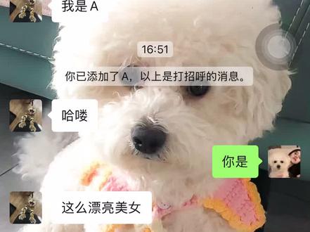 实不相瞒 我已经学会主动和男生聊天了#聊天记录 #挂网上