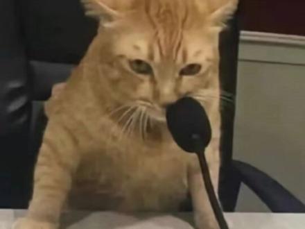 这么炸裂不能我一个人看 #离谱 #大学 #男寝 #室友 #同学